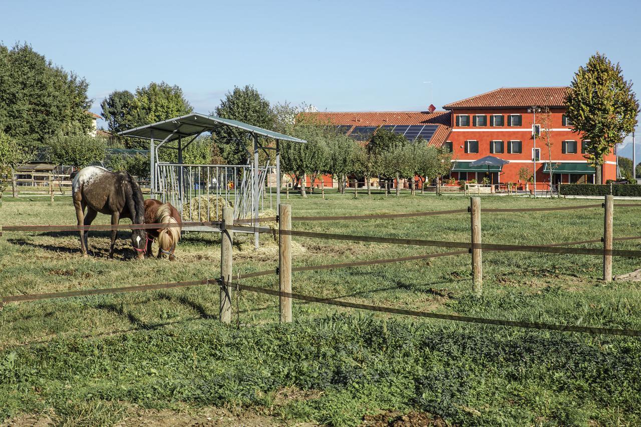 Ca' Ciaran Bed & Breakfast Chiarano Dış mekan fotoğraf