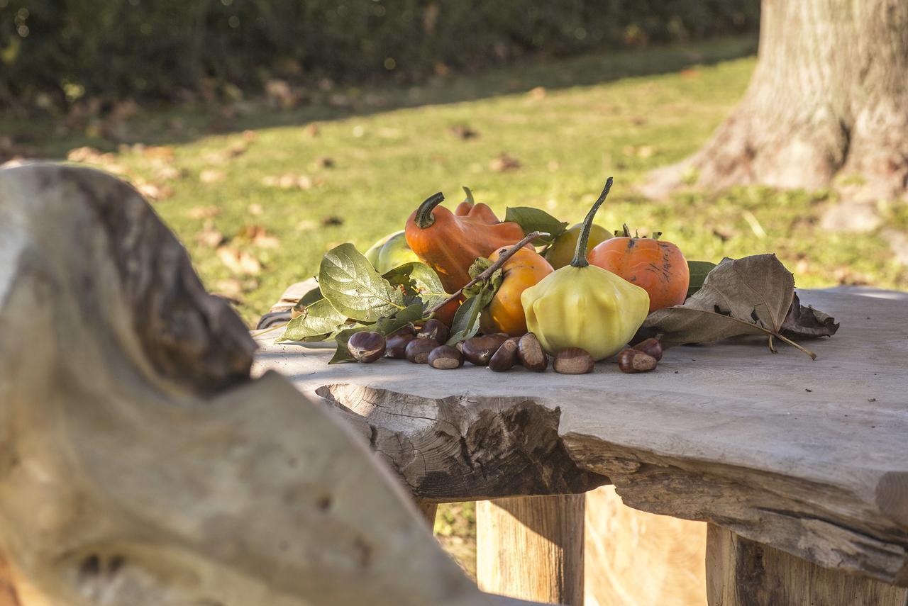 Ca' Ciaran Bed & Breakfast Chiarano Dış mekan fotoğraf