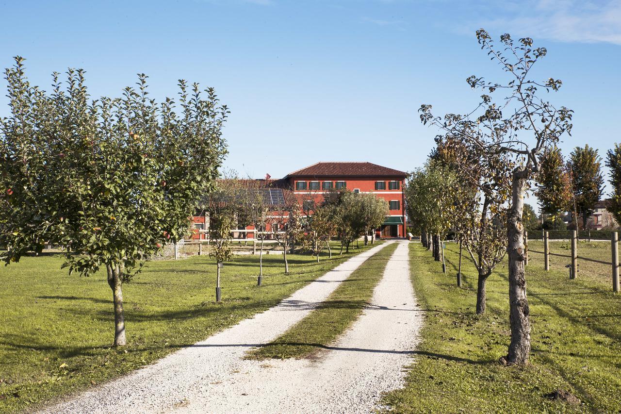 Ca' Ciaran Bed & Breakfast Chiarano Dış mekan fotoğraf