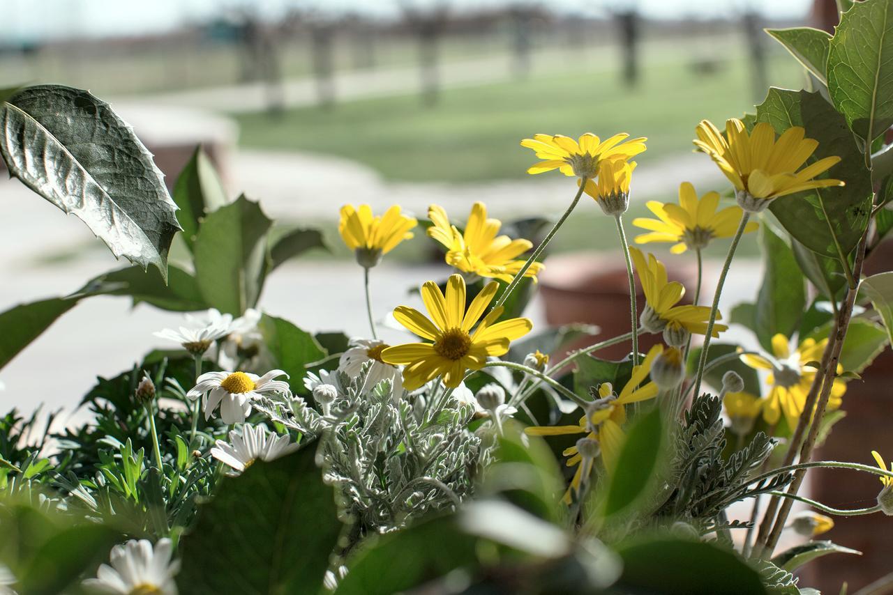 Ca' Ciaran Bed & Breakfast Chiarano Dış mekan fotoğraf