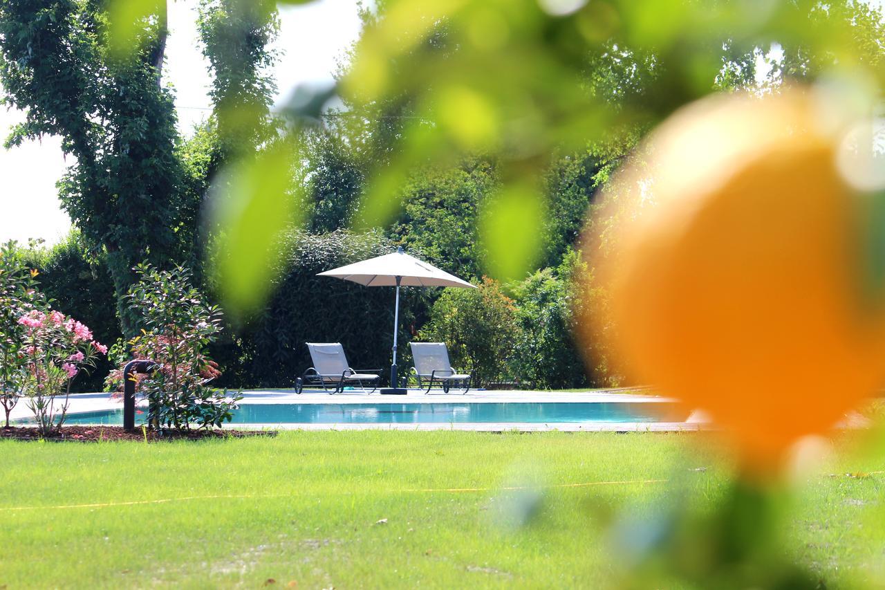 Ca' Ciaran Bed & Breakfast Chiarano Dış mekan fotoğraf