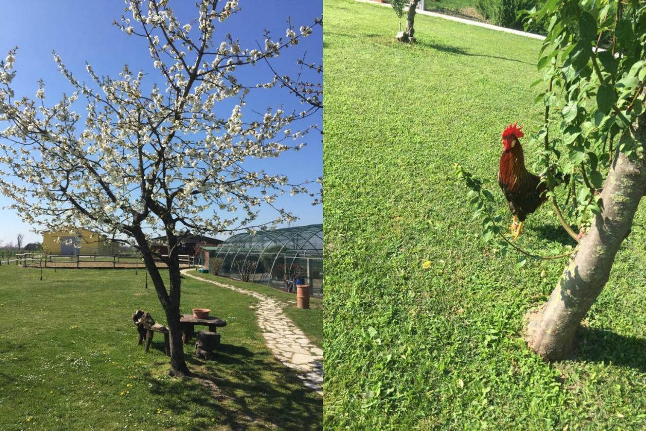 Ca' Ciaran Bed & Breakfast Chiarano Dış mekan fotoğraf